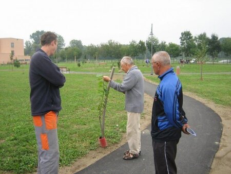 Delavnica - Vzdrževanje parkovih površin 8